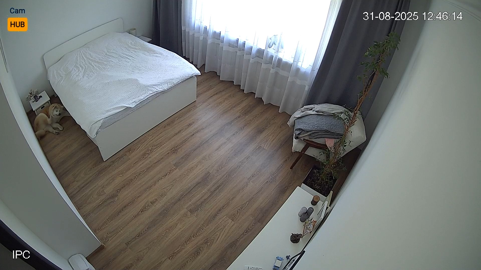 Russian Couple IP Cam Bedroom Sex Video