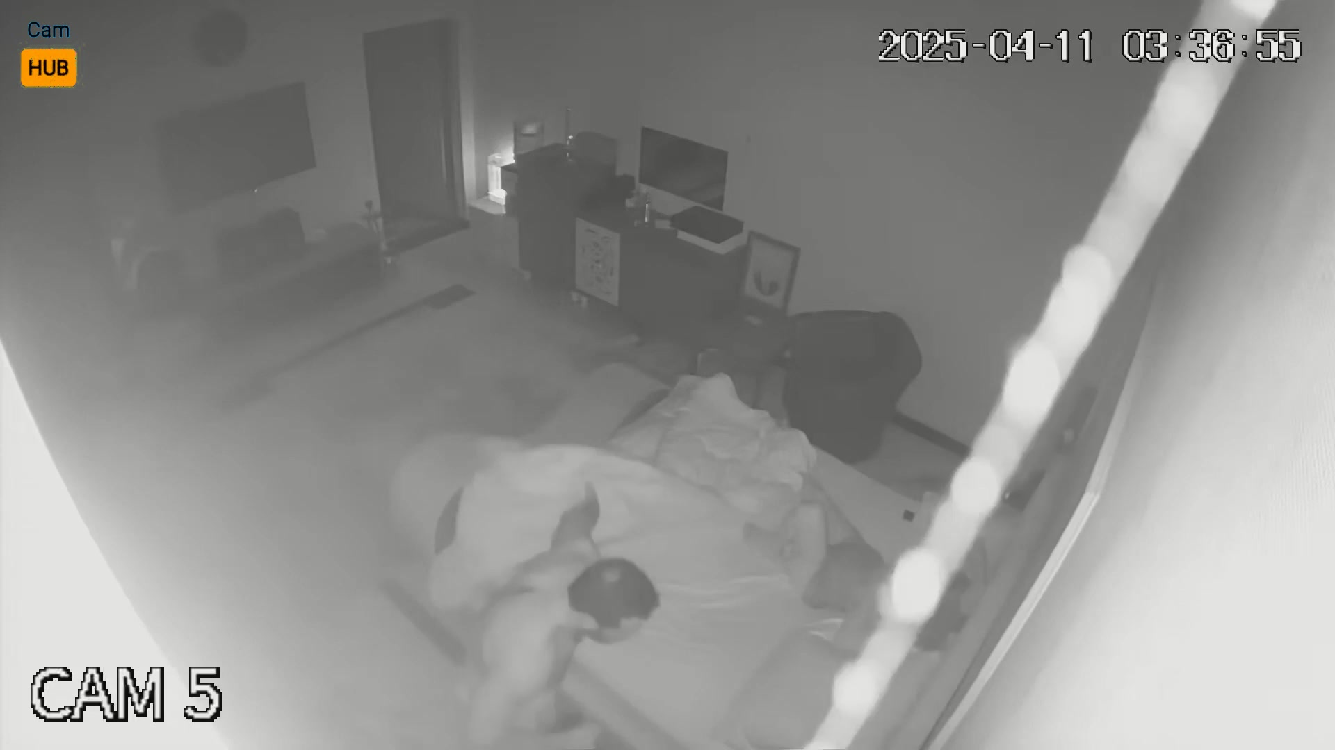 Asian Bedroom IP Cam - Authentic Footage 310