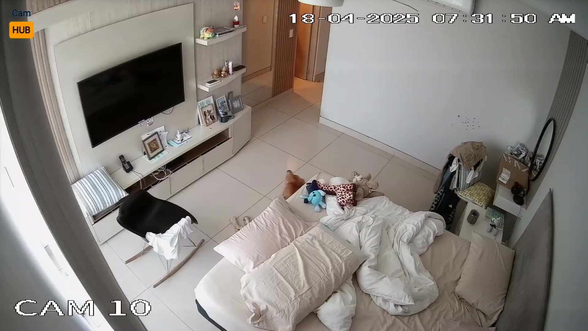 Korean Bedroom Camera - Real Couple 343