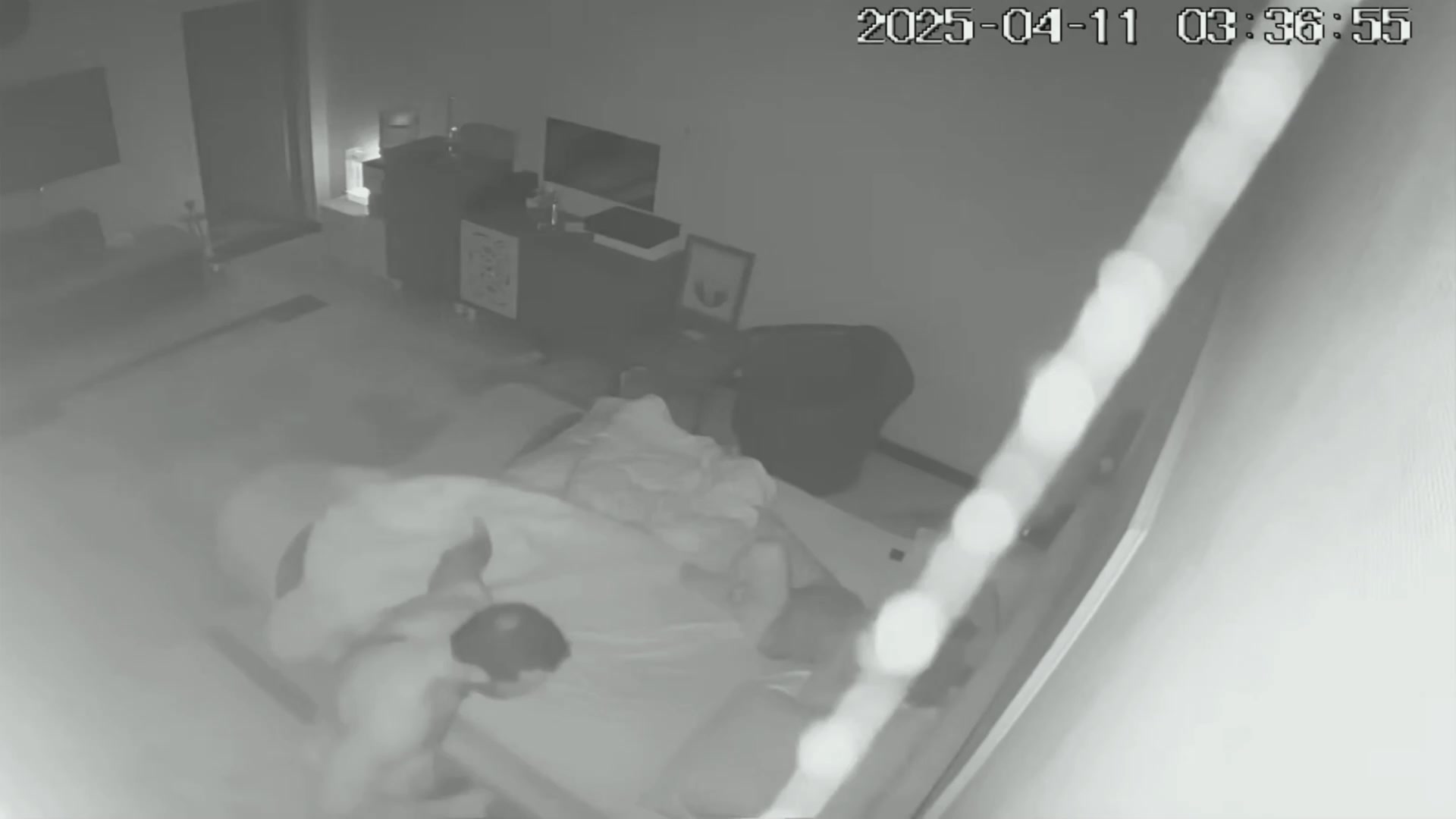 Japanese Hidden Bedroom Cam Footage 644